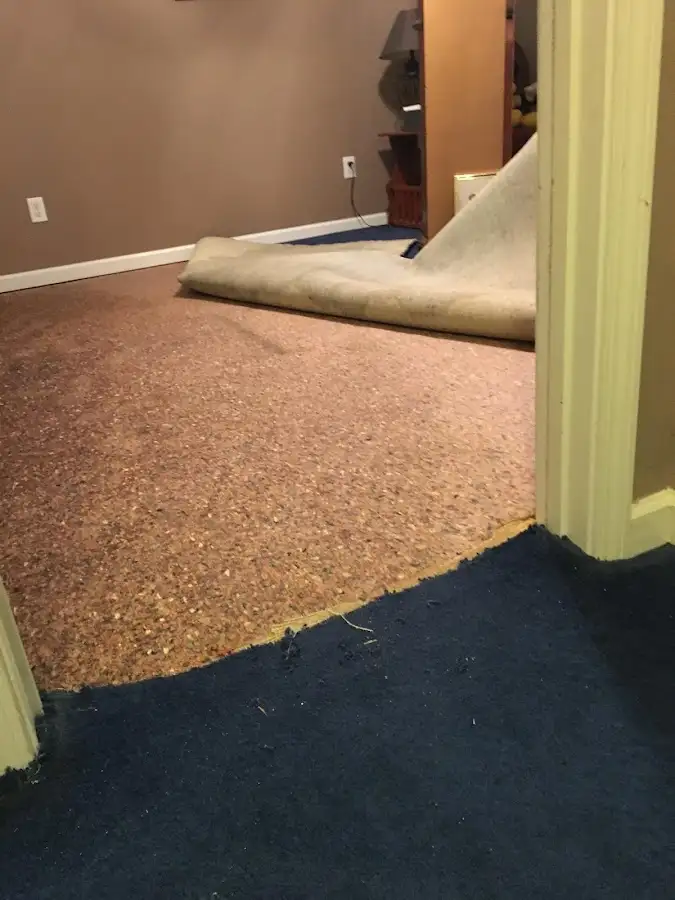 Carpet pad removal revealing water damage during Water Mitigation Services in Bangor