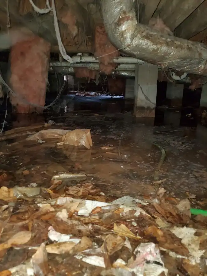 Crawl space flood assessment for Leak Detection & Repair in Bangor