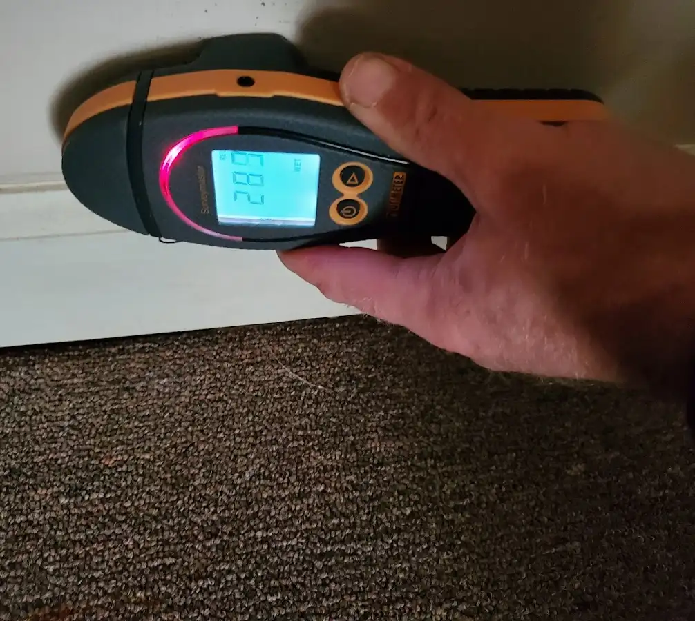 Moisture detection at baseboard during Sewage Cleanup & Sanitation in Bangor